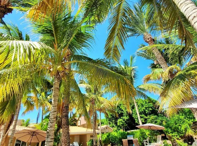 Coco Cabanas And Casitas Vacation Rentals